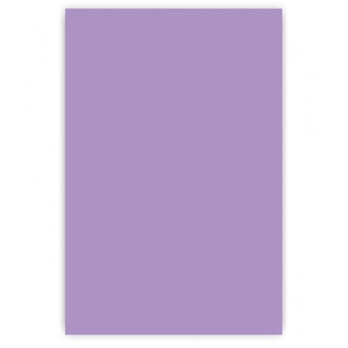 柳州FS-143 紫色